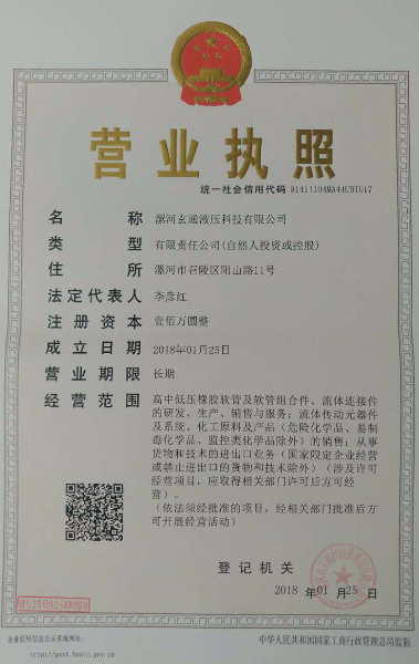 漯河派格网络科技有限公司与河南亿博橡胶科技股份有限公司共建电商平台